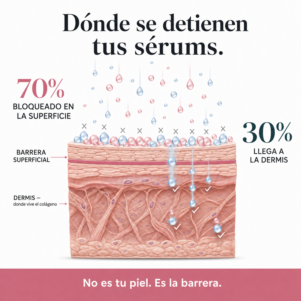Rejuvenece Tu Piel Con DermaInfuse